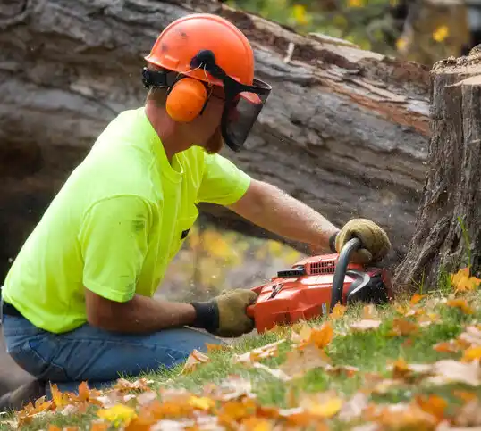 tree services North Tonawanda